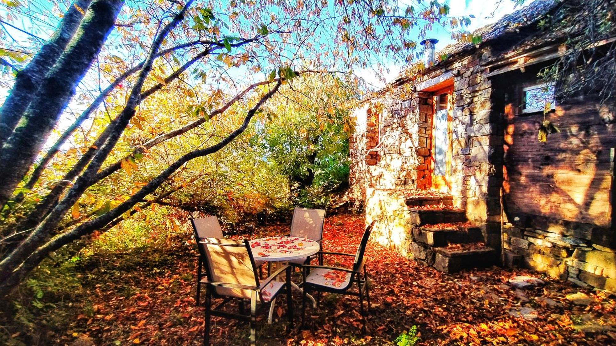 Casa Rural Petricor, Ordesa Vio Экстерьер фото